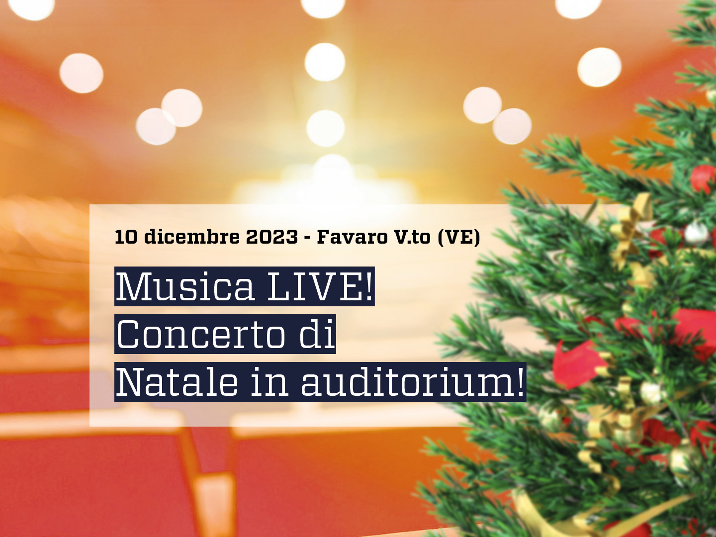 Musicalive | Concerto di Natale in auditorium